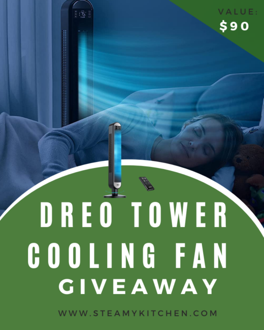 Dreo Tower Cooling Fan GiveawayEnds in 33 days.