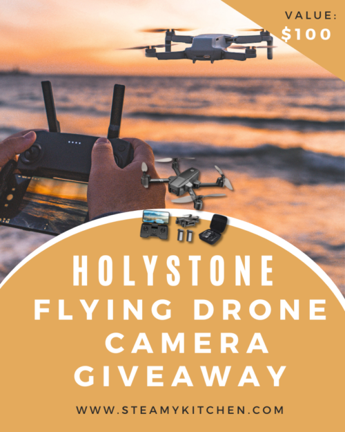 HolyStone Flying Drone Camera Giveaway