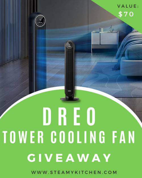 Dreo Tower Cooling Fan Giveaway