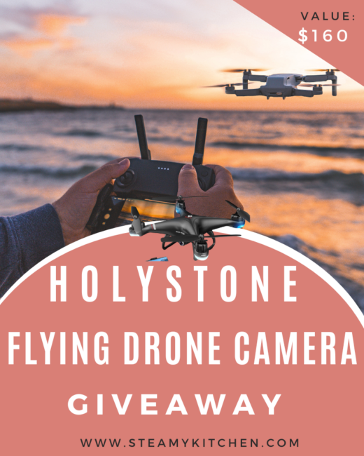 HolyStone Flying Drone Camera GiveawayEnds in 40 days.