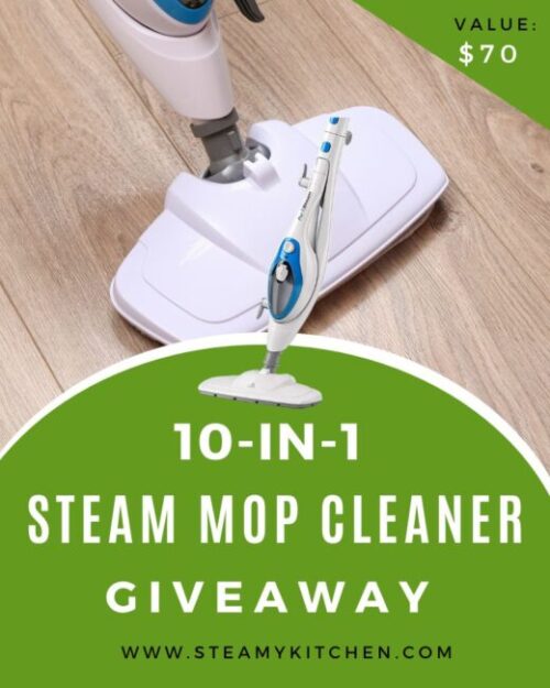 10-in-1 Steam Mop Cleaner Giveaway • Steamy Kitchen Recipes Giveaways