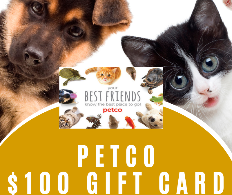 DAY 27: $100 Petco Gift Card Giveaway
