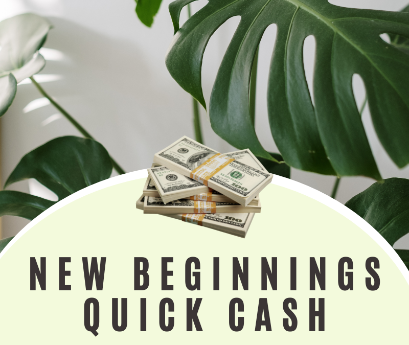 DAY 25: New Beginnings Quick Cash Instant Win!
