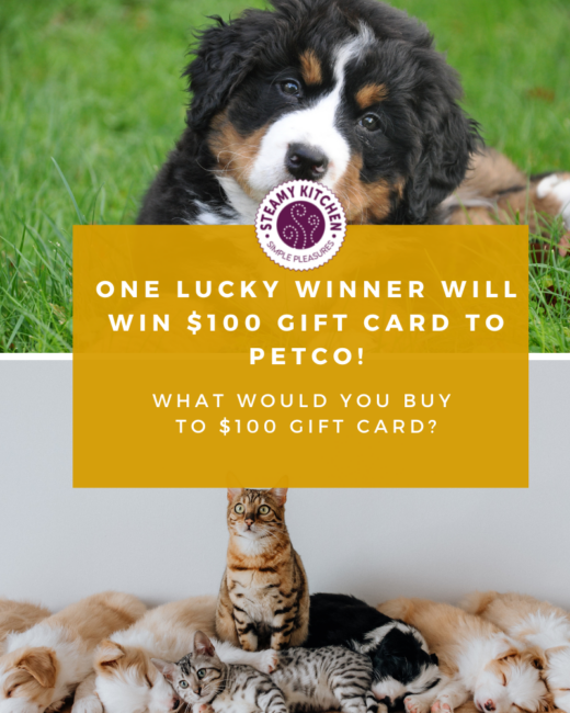 DAY 27 100 Petco Gift Card Giveaway • Steamy Kitchen Recipes Giveaways