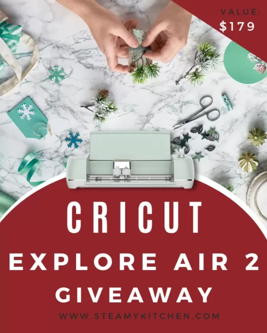Cricut Explore Air 2 GiveawayEnds in 40 days.