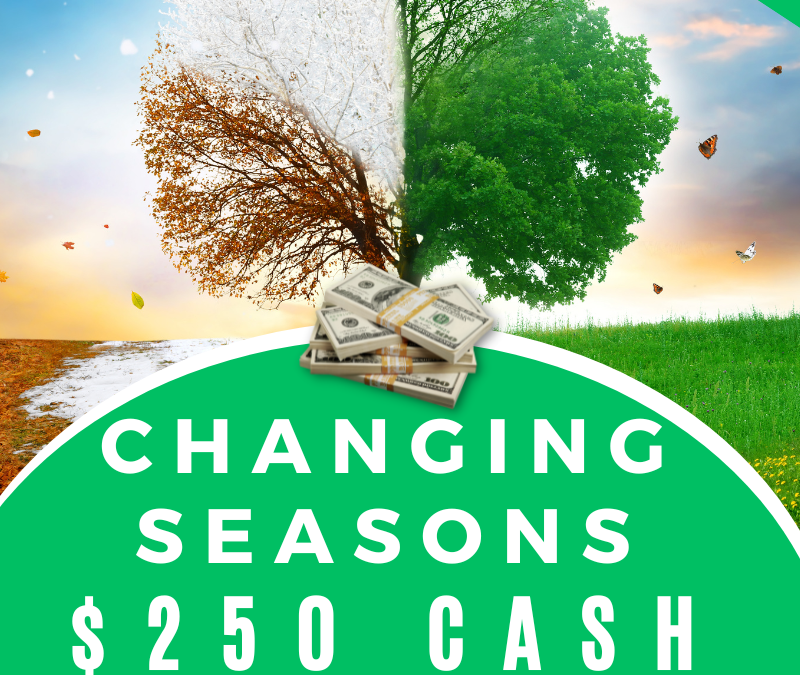 $250 Changing Seasons Cash Gift Card Giveaway