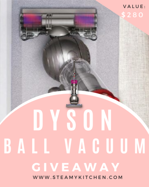 Dyson Ball Vacuum GiveawayEnds in 30 days.