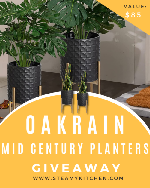 Oakrain Mid Century Planters for Indoor Plants Giveaway