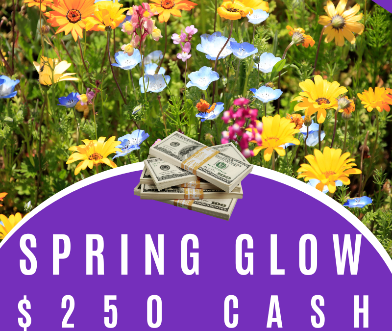 Spring Glow $250 CASH Giveaway