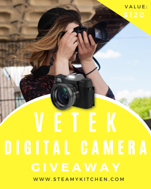 vetek 4k digital camera