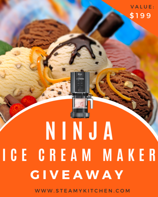 Is This Ice Cream Maker the New Ninja Creami? – LifeSavvy