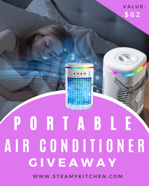 Portable Air Conditioner Giveaway 