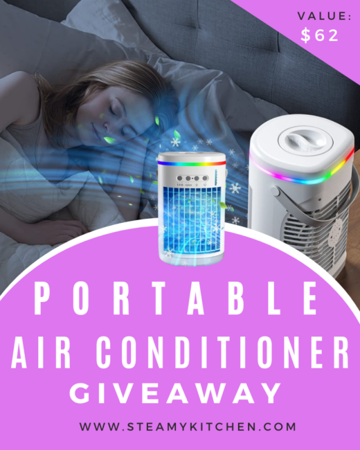 Portable Air Conditioner Giveaway • Steamy Kitchen Recipes Giveaways 5595