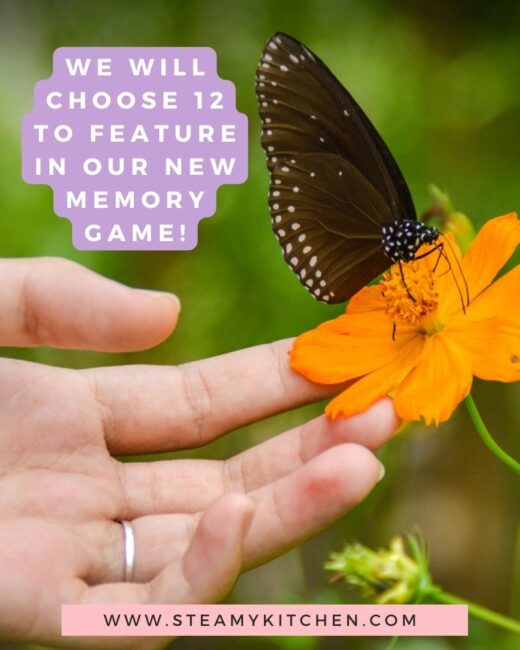 Positivity In Everyday Life Photo Contest Graphic with image of butterfly on a flower