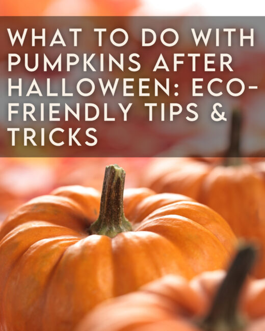 What To Do With Pumpkins After Halloween
