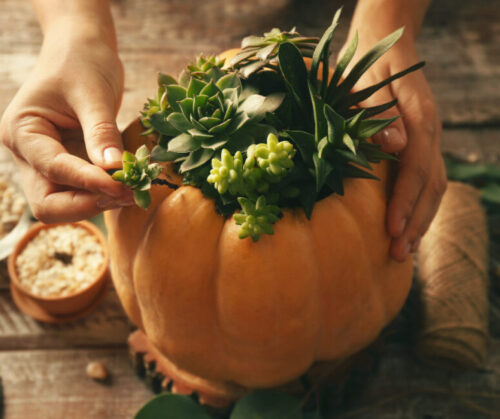 Get crafty by using pumpkins for other things.