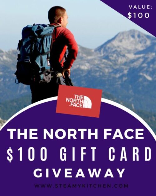north face $100 gift card giveaway