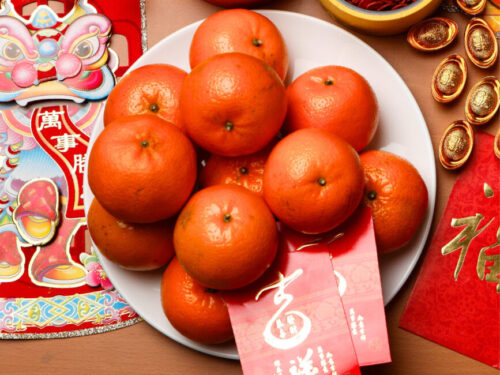 Chinese New Year tangerines and oranges