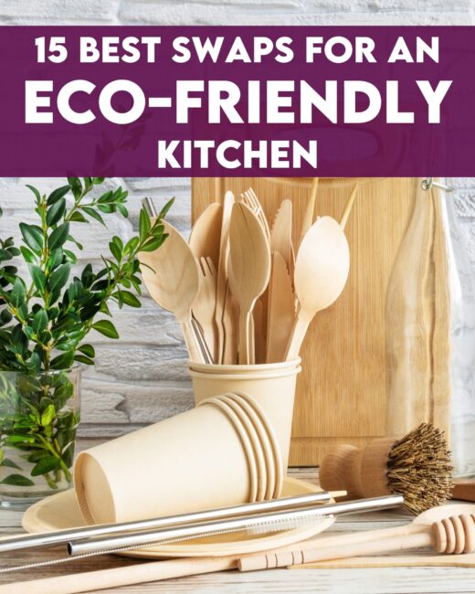 15 Best Swaps for a Sustainable & Eco-Friendly Kitchen
