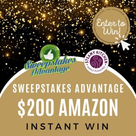 Recipe Index Steamy Kitchen Recipes Giveaways   Sweepstakes Advantage Instant Win 480x480 