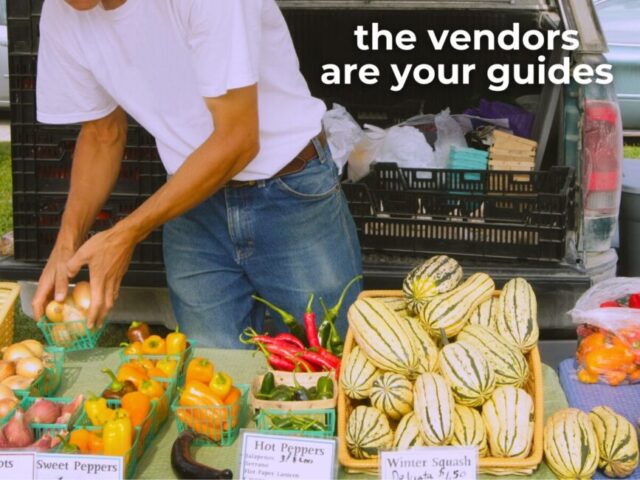 Let the vendors beryllium  your guides.