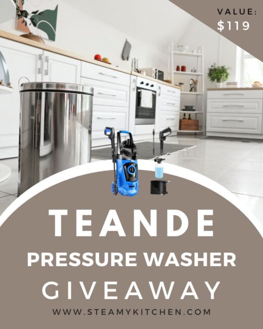TEANDE Electric Pressure Washer GiveawayEnds in 80 days.
