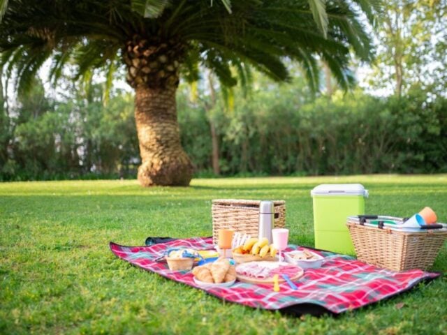 picnic at the park