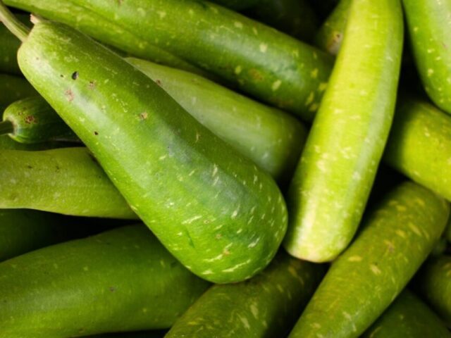 bottle gourd