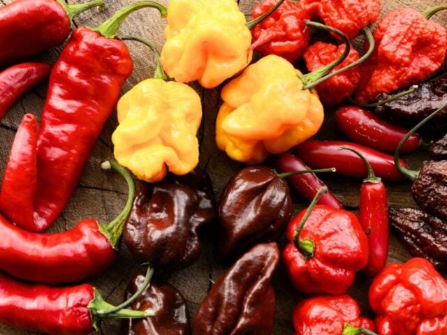 hot peppers