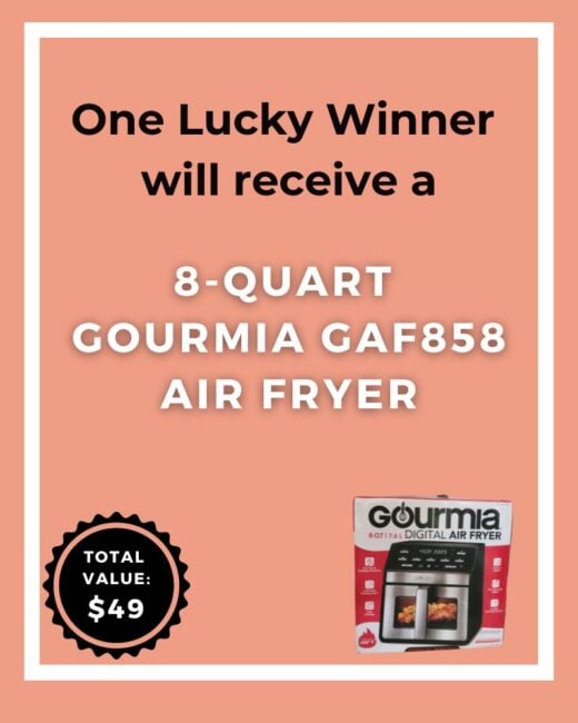 gourmia airfryer review and giveaway one winner