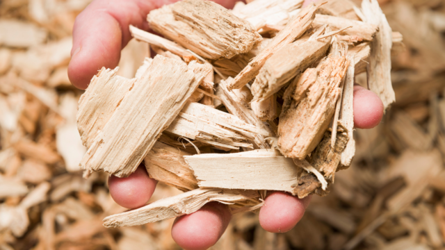 gas smoker wood chips