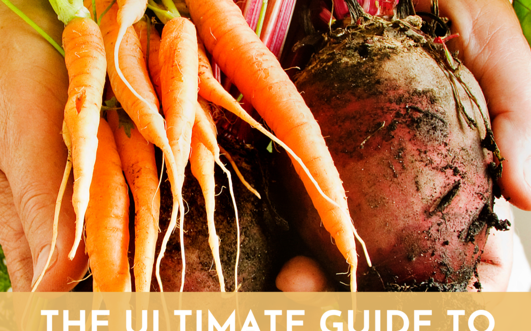 The Ultimate Guide to Fall Season Vegetables