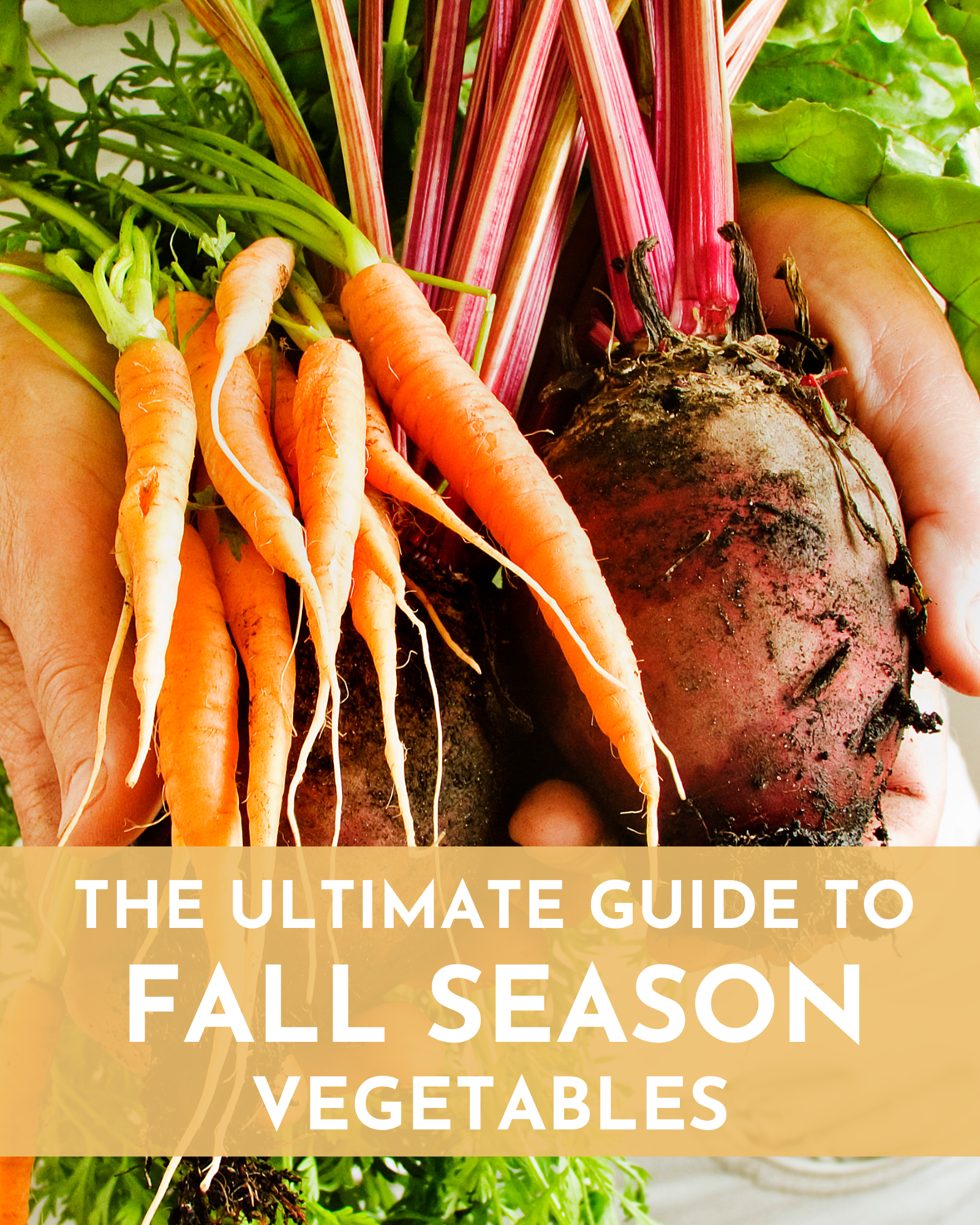 the ultimate guide to fall season vegetables