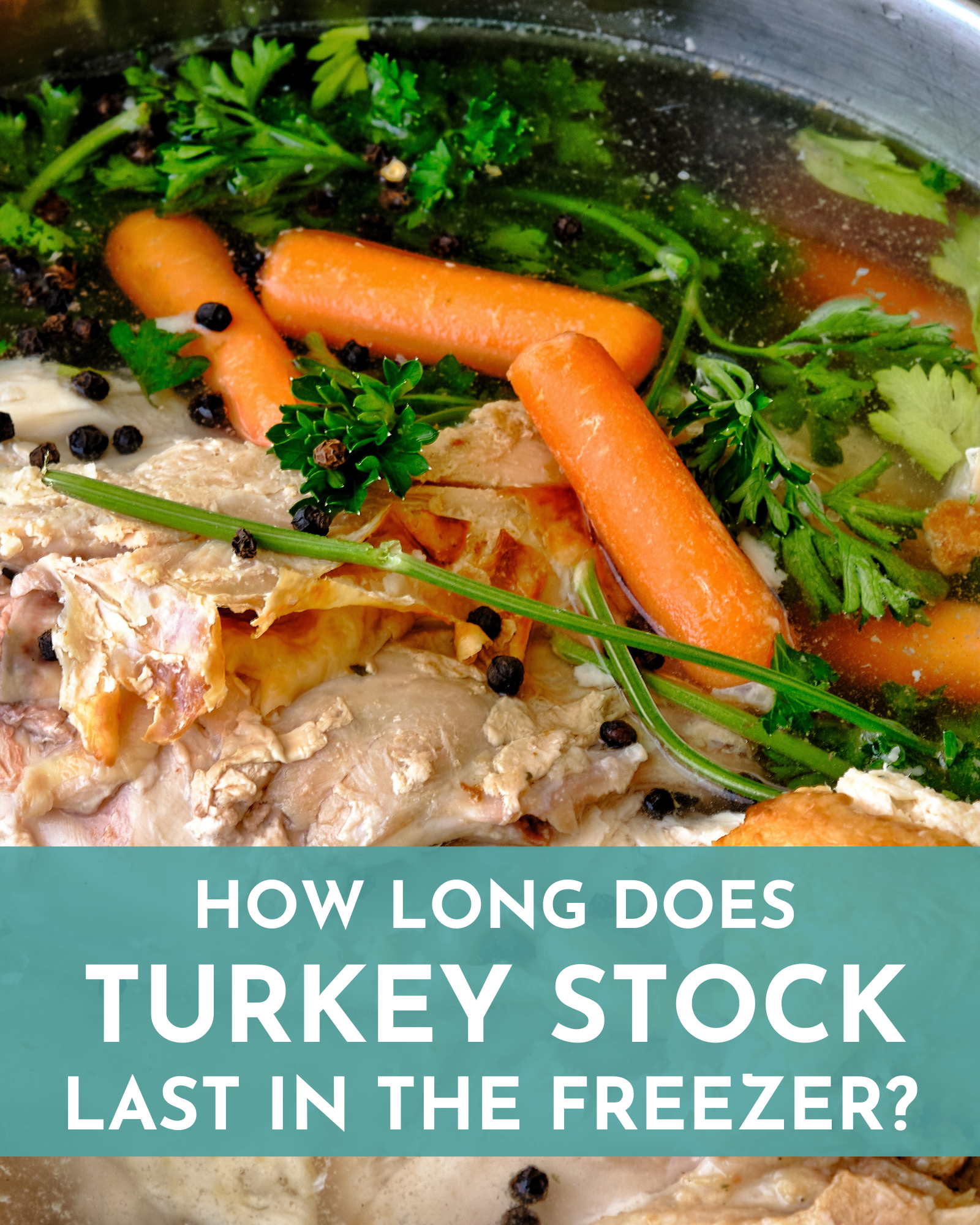 How Long Does Turkey Stock Last in the Freezer?