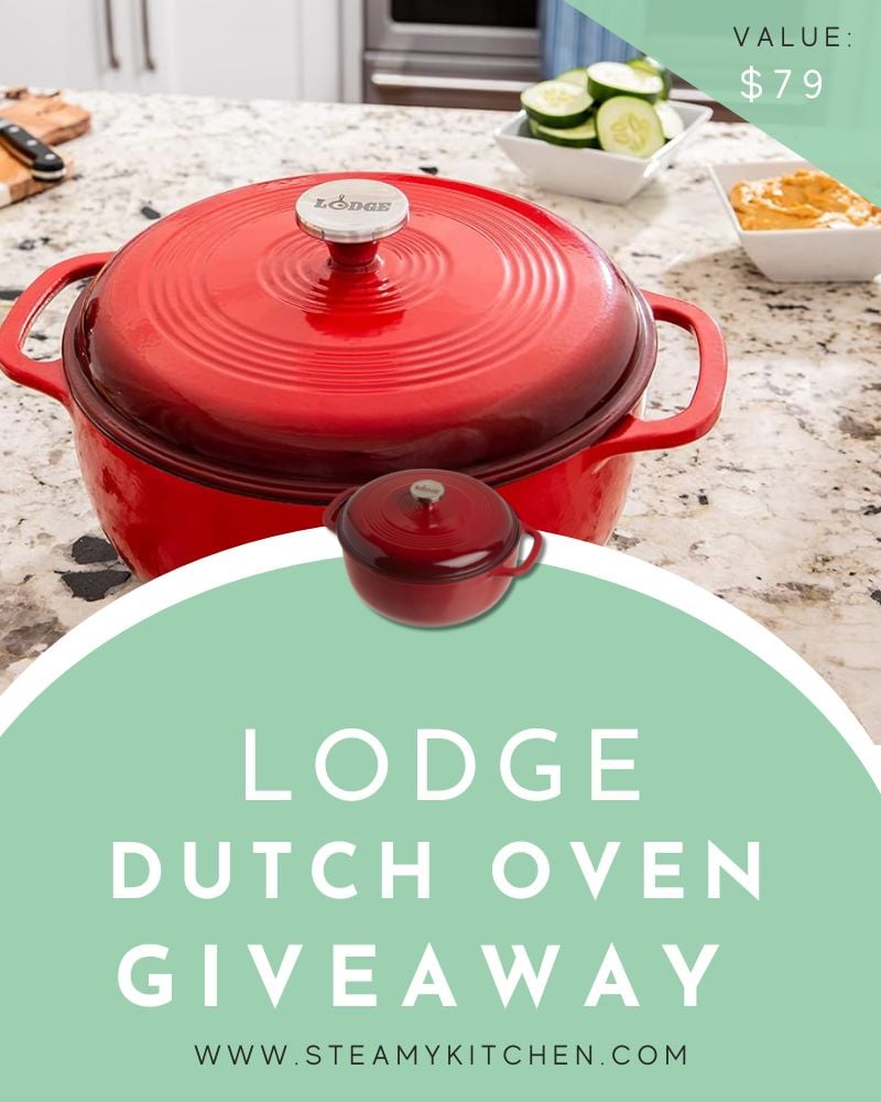 Lodge 6 Quart Enameled Cast Iron Dutch Oven GiveawayEnds in 91 days.