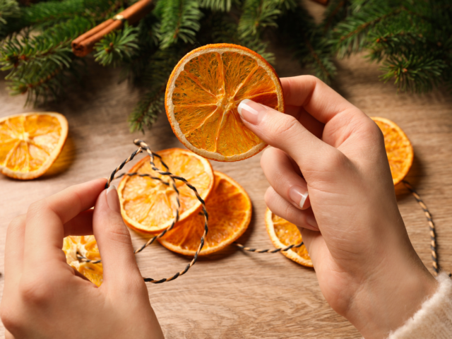 dried orange slices