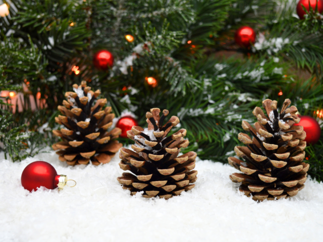 holiday pine cones