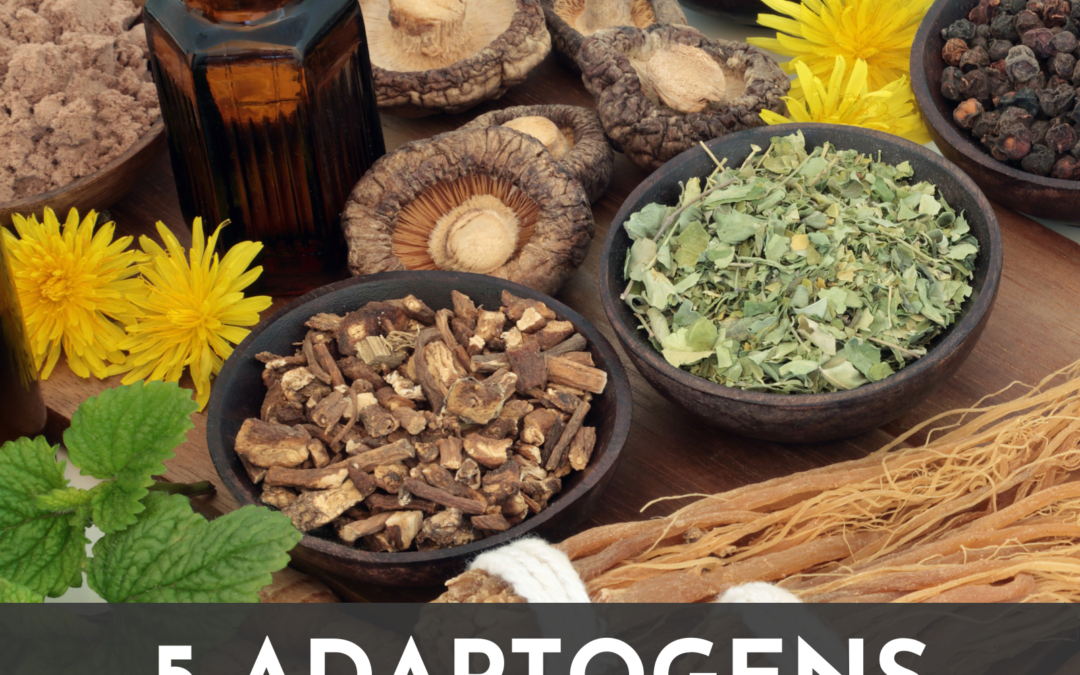 5 Underrated Adaptogens You’ve Probably Never Heard Of