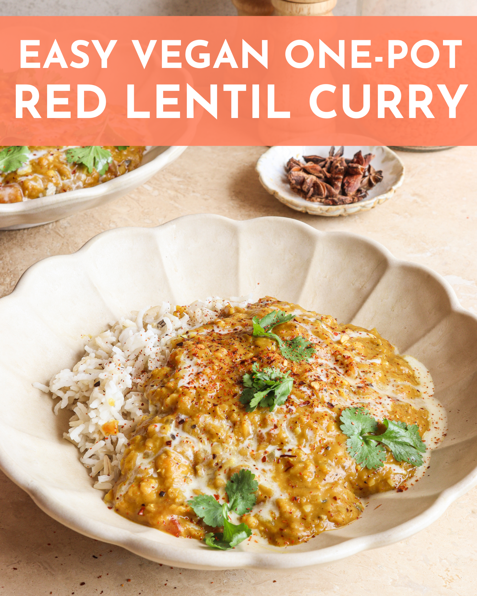 Easy Red Lentil Curry (Vegan & One-Pot Recipe!)