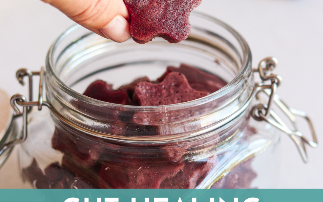 Gut Healing Blueberry and Lemon Gummies Recipe