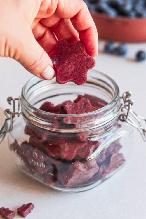 Gut Healing Blueberry and Lemon Gummies Recipe