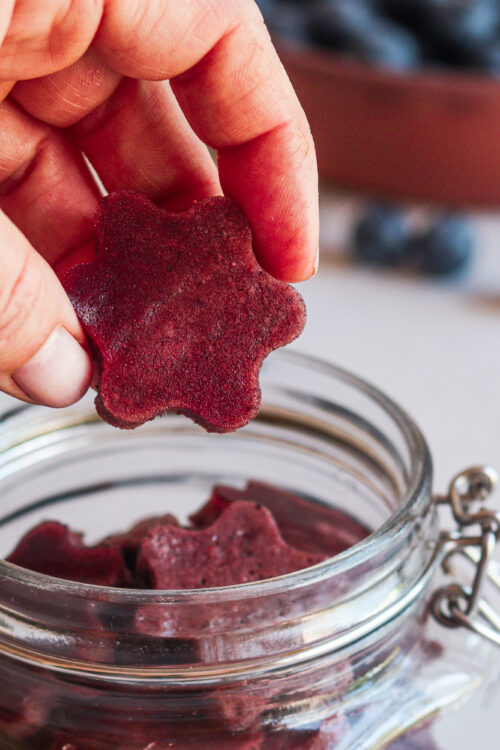 Gut Healing Blueberry and Lemon Gummies Recipe