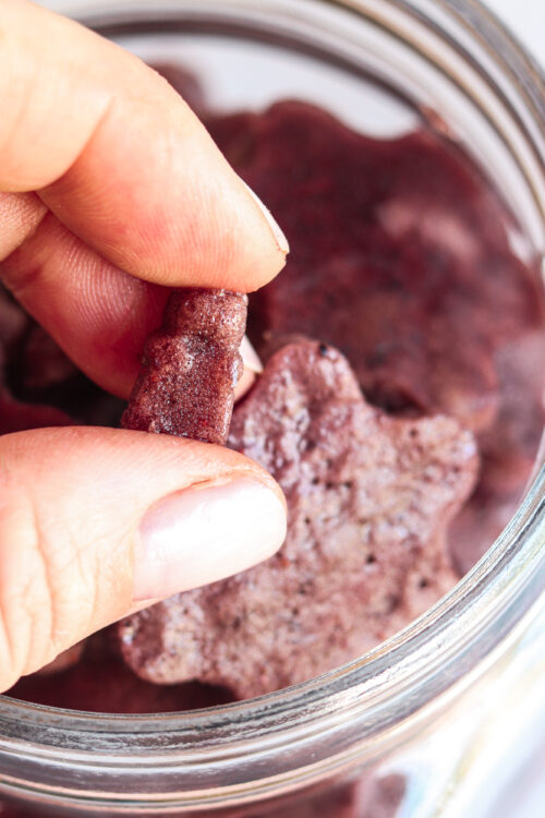 Gut Healing Blueberry and Lemon Gummies Recipe