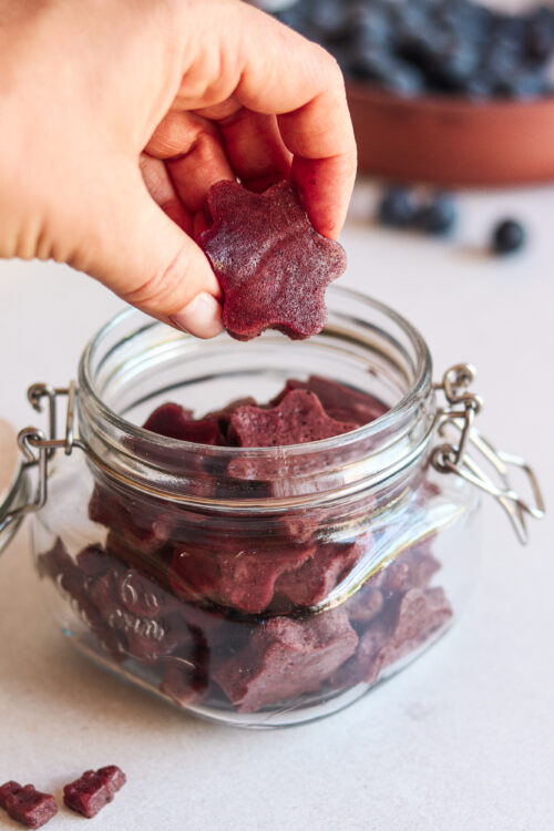 Gut Healing Blueberry and Lemon Gummies Recipe