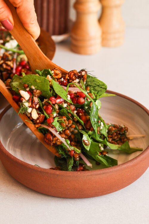 winter crunch lentil salad