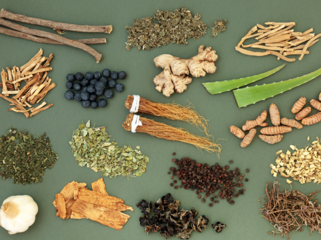 adaptogenic herbs roots fungi