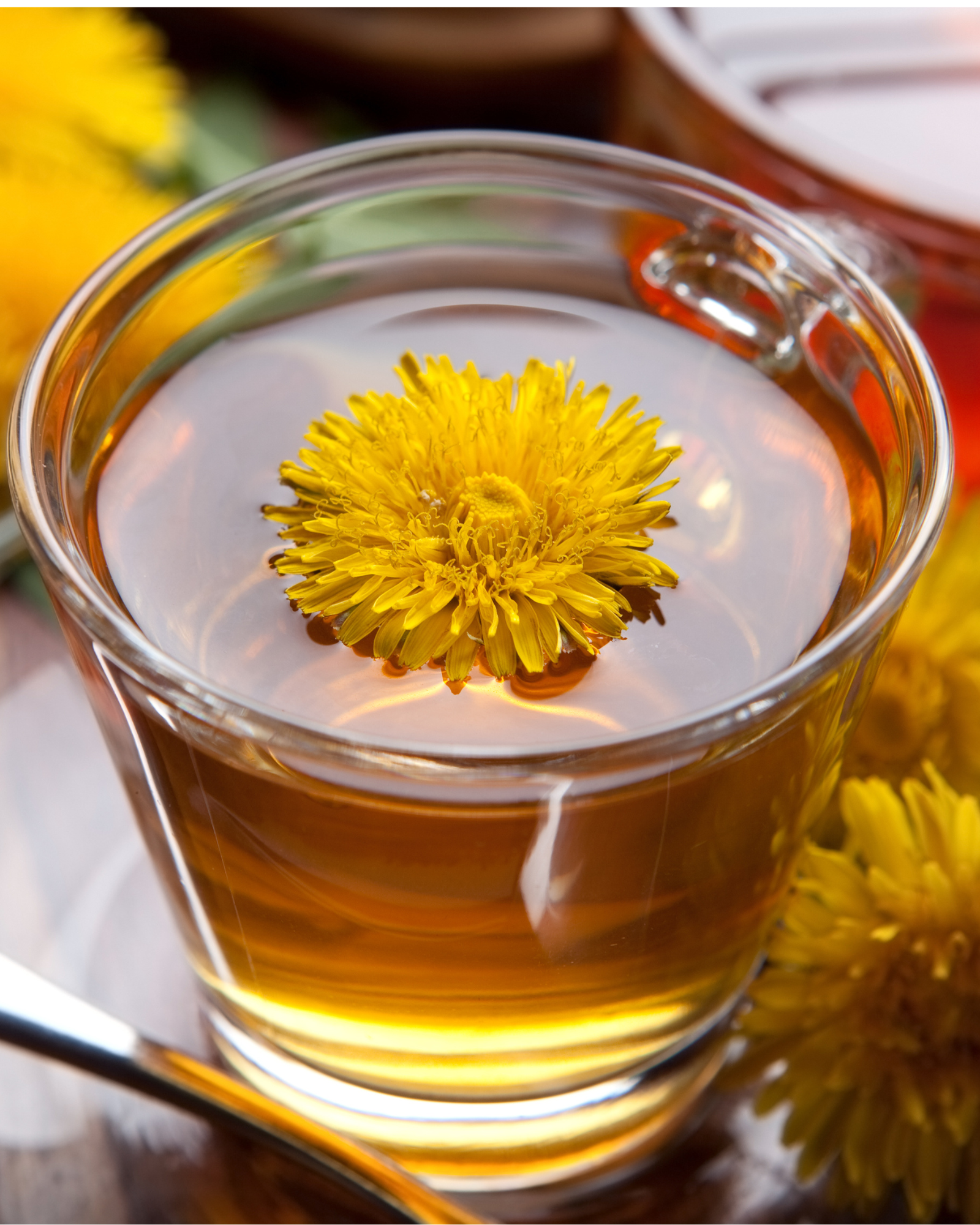 How to Make Herbal Morning Elixirs For Every Mood