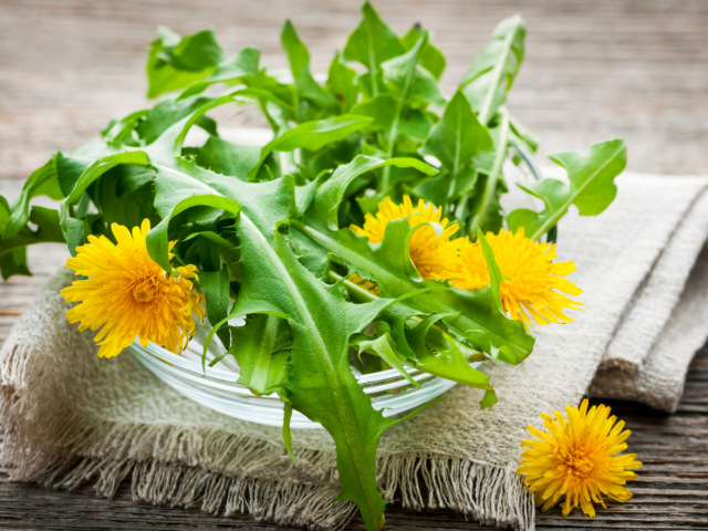 dandelion greens