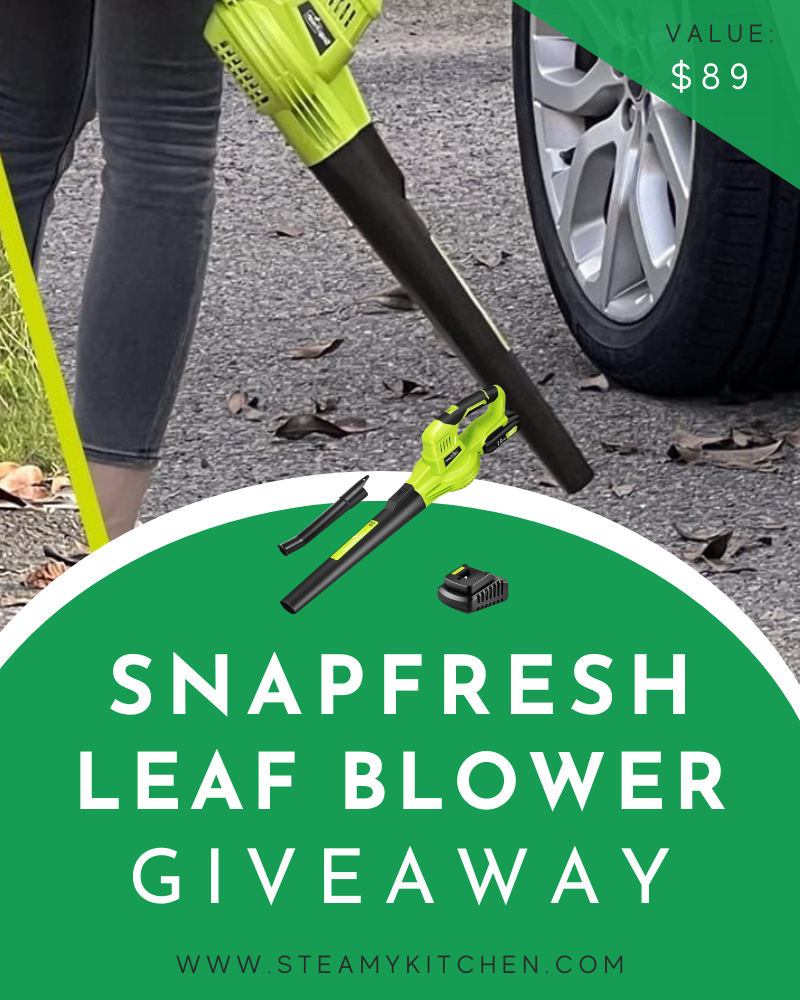 SnapFresh Leaf Blower GiveawayEnds in 91 days.