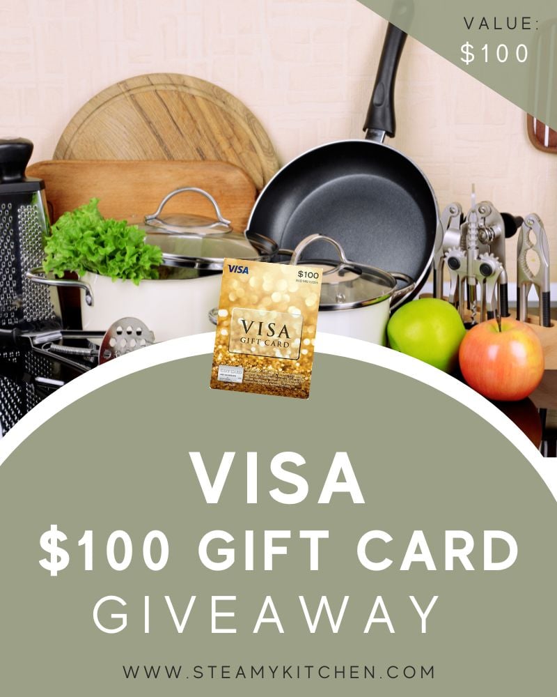 $100 Visa Gift Card Giveaway
